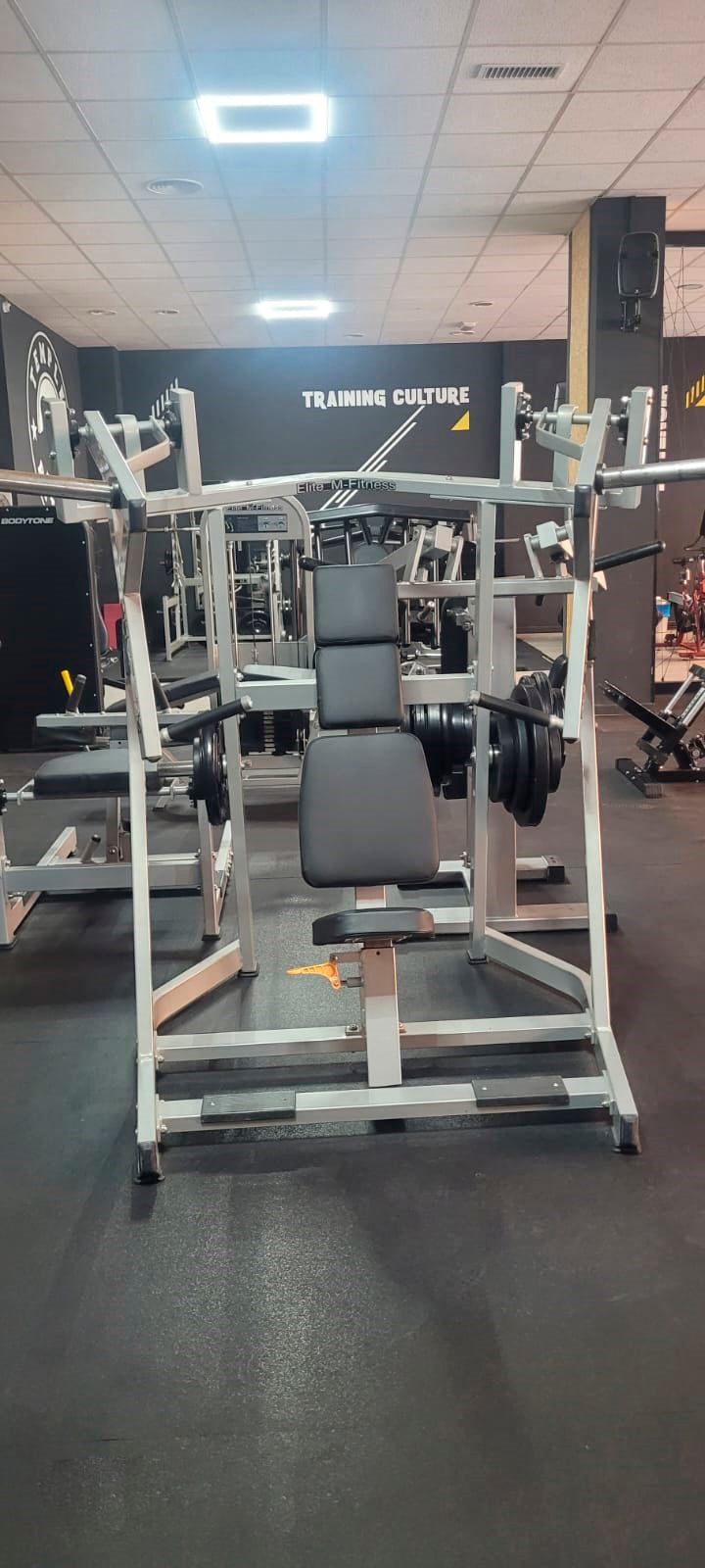 SEATED CHEST PRESS