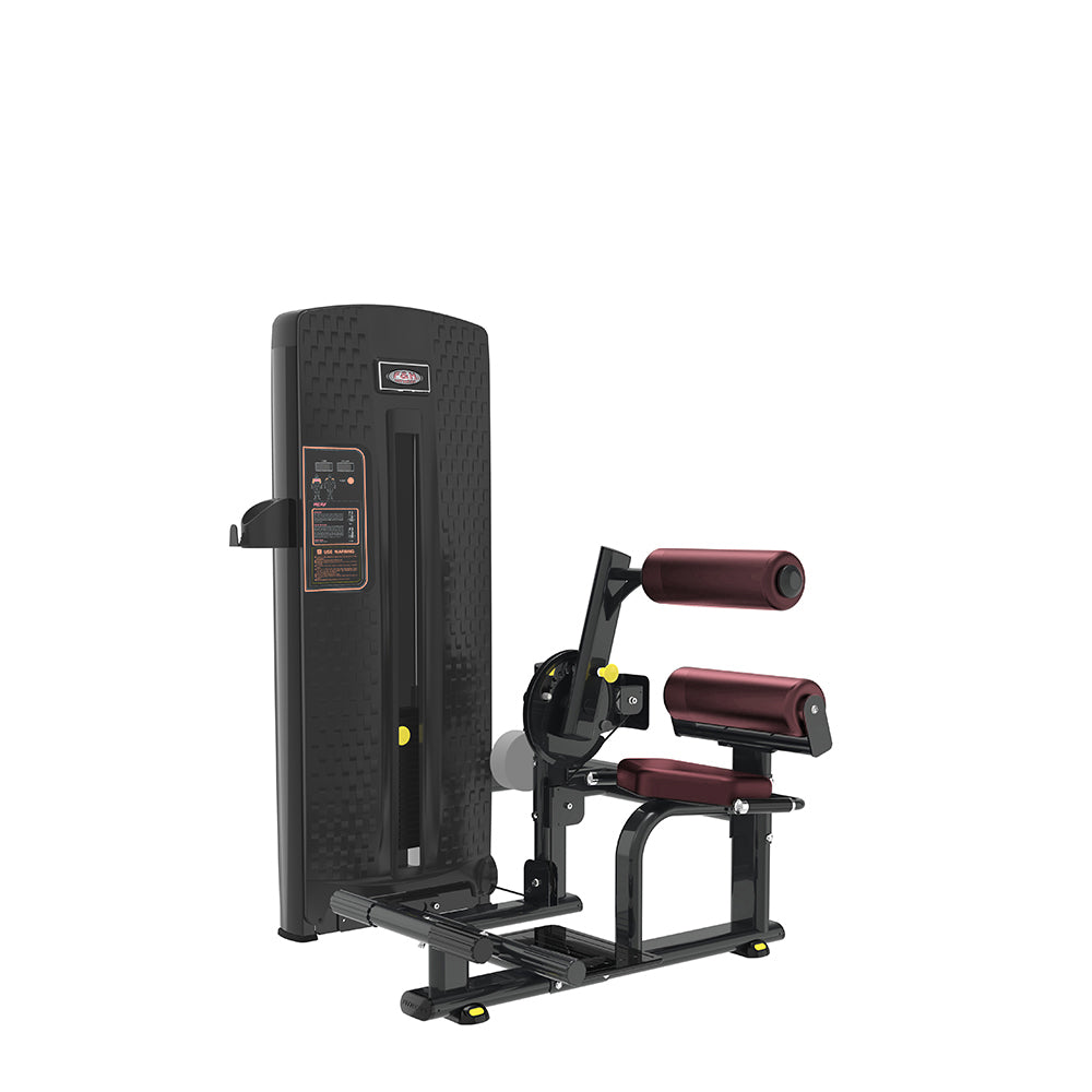 FH HE0910D LOW BACK WITH ABDOMINAL MACHINE