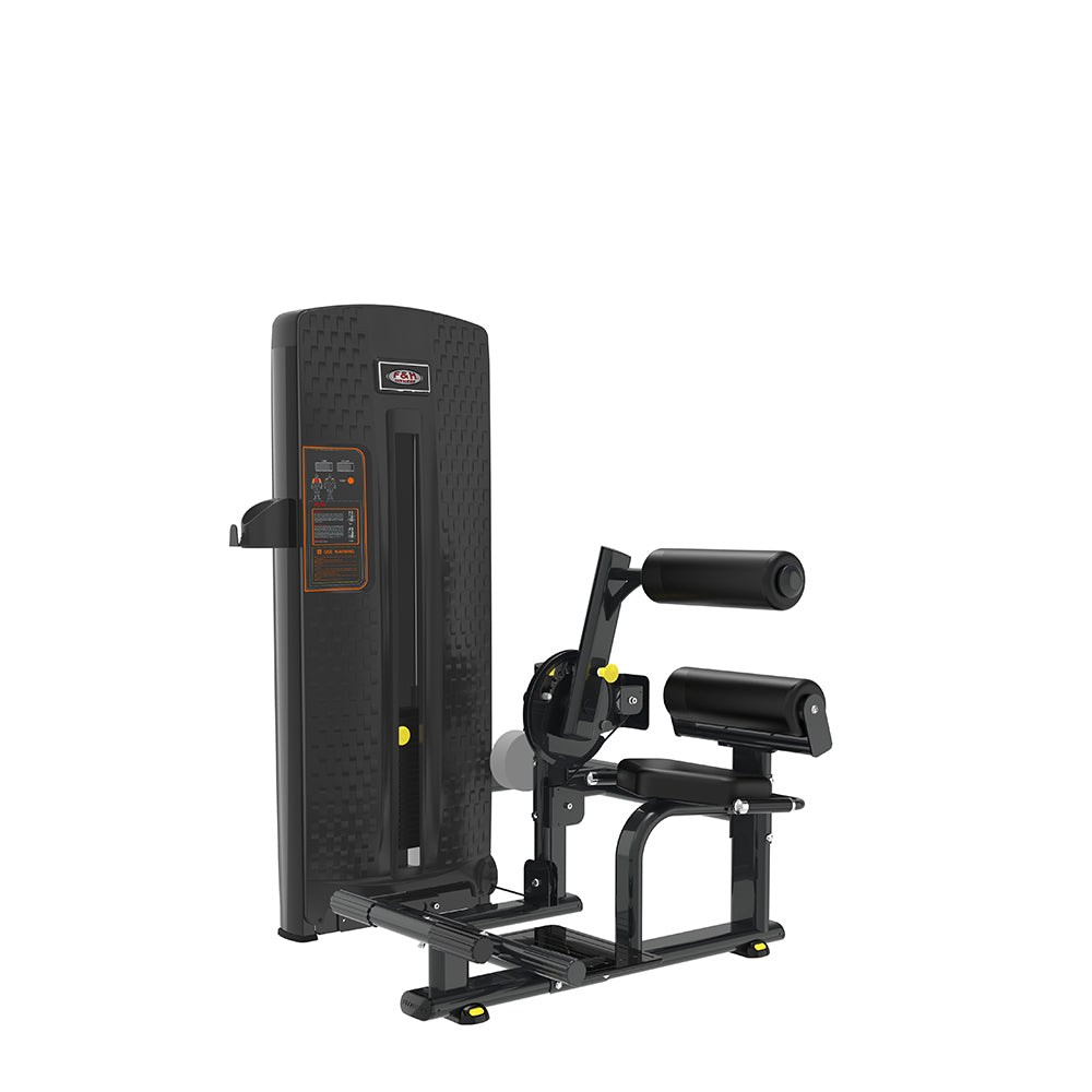 FH HE0910D LOW BACK WITH ABDOMINAL MACHINE